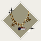 Collar PR Stainless Steel