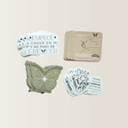 Tu kit de transformación Shine & Grow